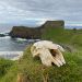 United Kingdom - Scotland - Isle of Skye - Brothers Point - Photo by Ridha