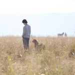 Going for a cheetah walk